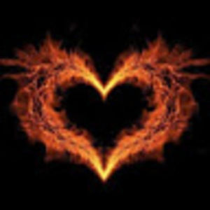 Meet your Posher, Elsie